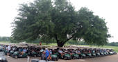 17th Annual Golf Tournament - 19