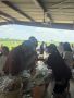 Golf Tournament - 069