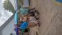 Jamaica - 026