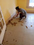 Upstairs Cleanup - 18